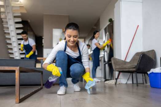 Manual Floor Cleaning